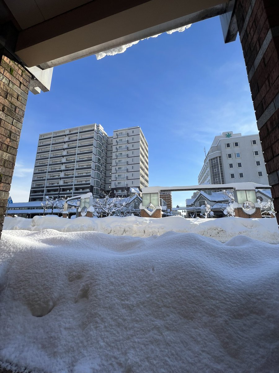 みなさんおはよう！❄️☃️🐰🏂⛷ 前が氷河期になってました🦣