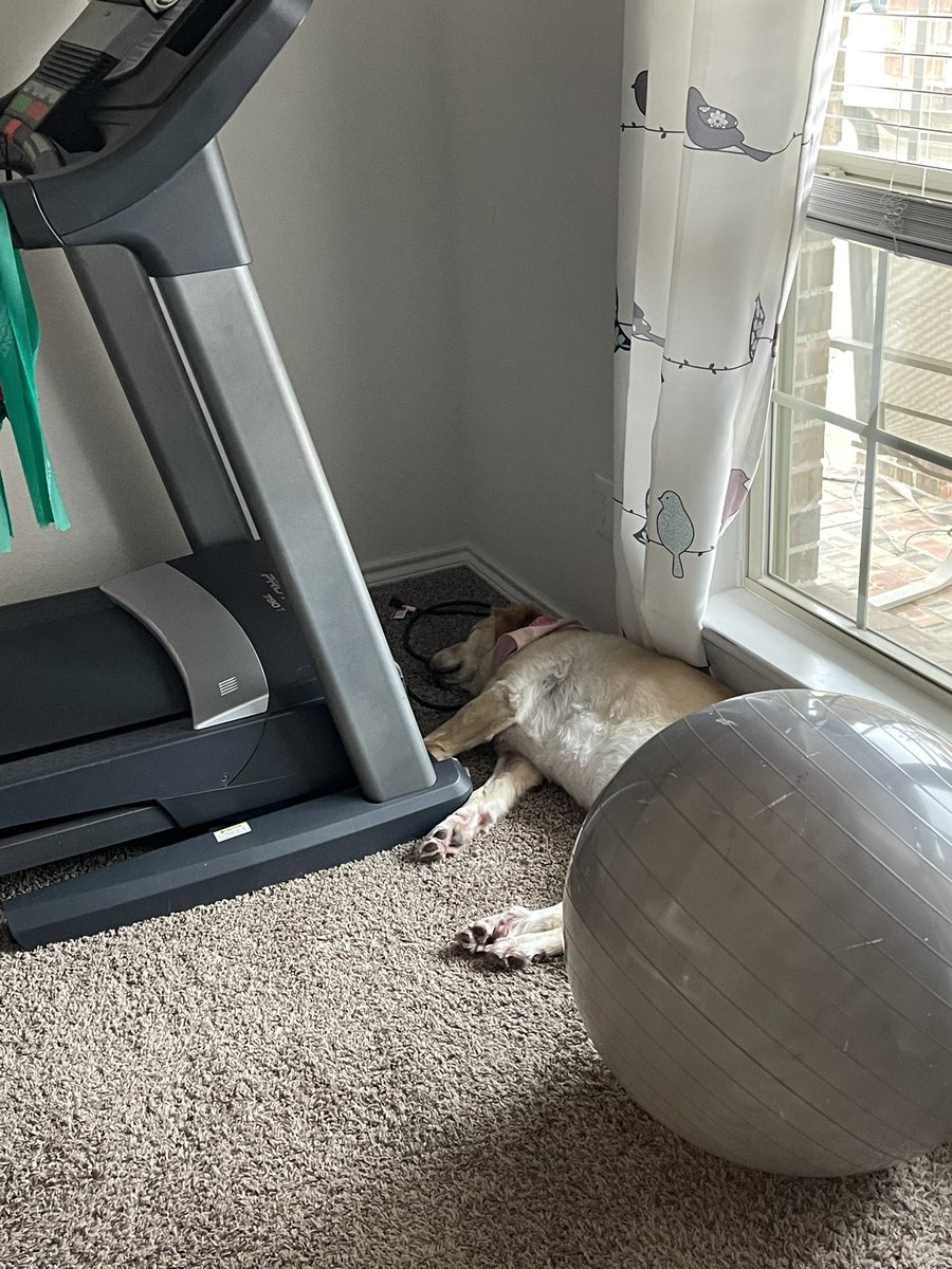 totallyfit478's tweet photo. For some the resolution is literally to ‘make it’ to the gym #almostFebruary https://t.co/k4vgXxJUhx