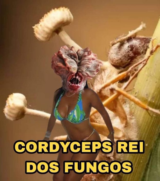peudrao's tweet image. em breve silenciando tudo relacionado à série do milênio pois hoje não conseguirei assistir ao vivo #forças #guerreira