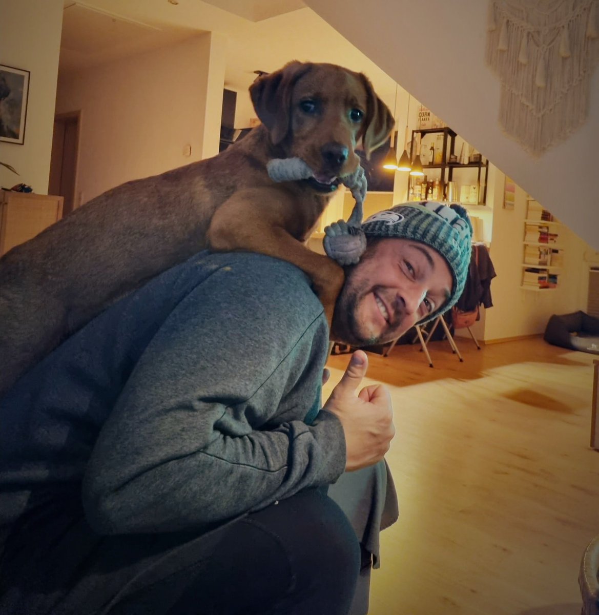 🥳 0:2 in Leverkusen ⚫️🟡