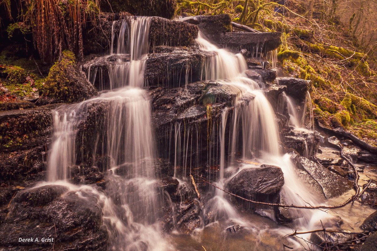 gristdezza's tweet photo. WINTER WALK at the Birks yesterday... #Perthshire #BirksofAberfeldy #waterfalls #Scotland #winterwalks #scottishbanner #outandaboutscotland #this is scotland @walkhighlands @PerthshireMag @PKCTrust @ScotsMagazine @Scottish_Banner @PtmurtonG https://t.co/7P7dzVa2RV