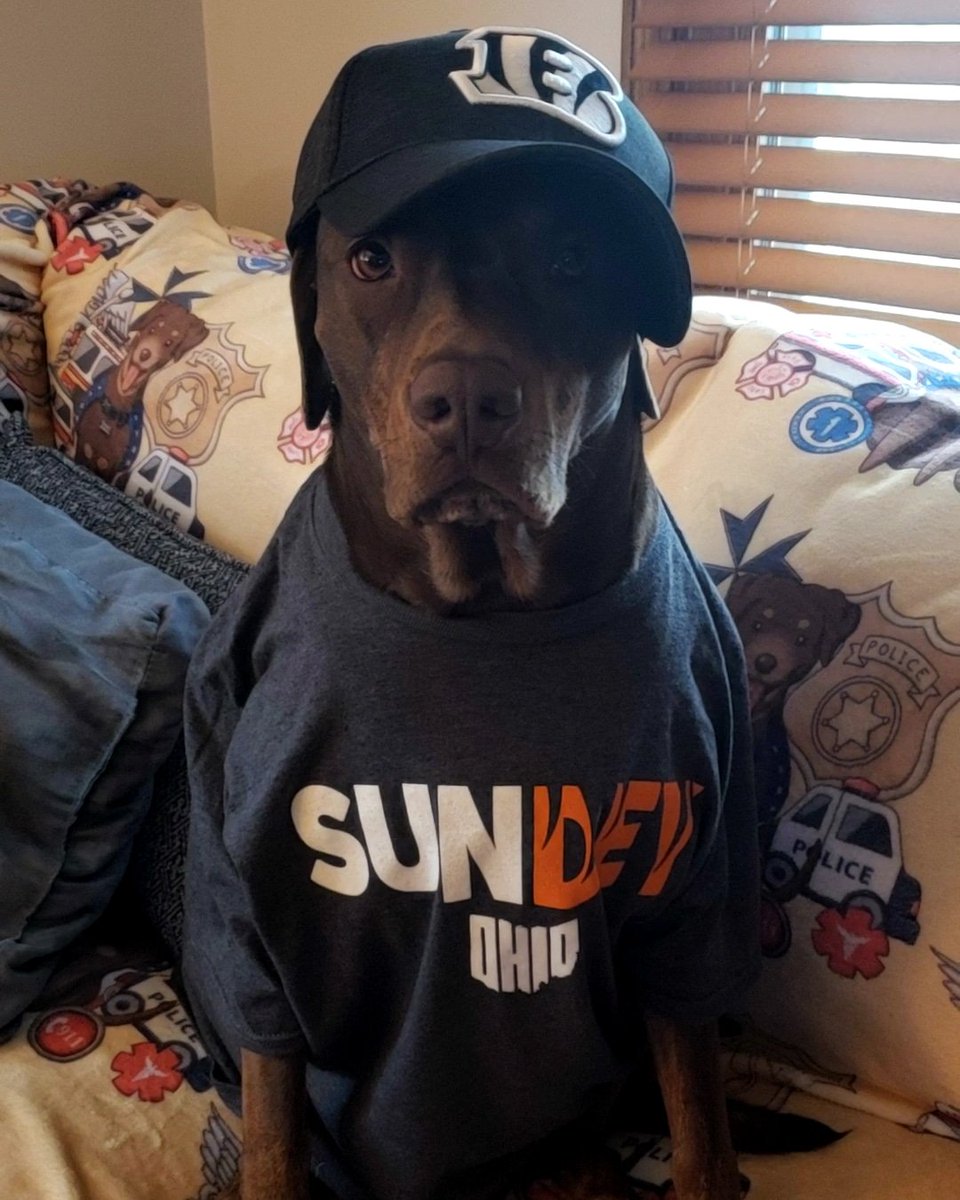 letz dooz dis <a href="/Bengals/">Cincinnati Bengals</a>..i nawt jokin..rawr 🐅 

<a href="/NFL/">NFL</a> <a href="/NFLonFOX/">FOX Sports: NFL</a> <a href="/CincyPD/">Cincinnati Police Department</a> <a href="/CincyFireEMS/">Cincy Fire & EMS</a> <a href="/HamiltonCntyOH/">Hamilton County, OH</a> <a href="/hcso_org/">Hamilton County Sheriff's Office</a>