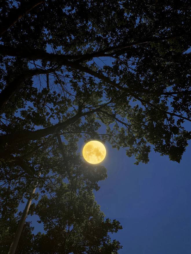 Yedda199252's tweet photo. I know it's not my moon, but for a moment, the moonlight really shines on me, if I don't look at the moon, and don't say I miss you, then both the moon and you will be kept in the dark. I see the moon is also peeking at you, you think I like the moon, only the moon knows I like.. https://t.co/ED7JHxz2lz