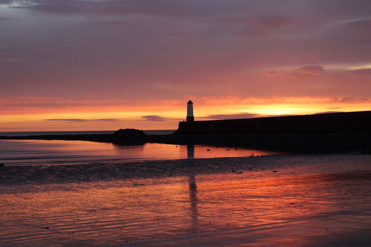 InspiringBlues's tweet photo. #vera think the #berwicklighthouse looks great at sunrise 📸💙 https://t.co/DCVxuAy17G