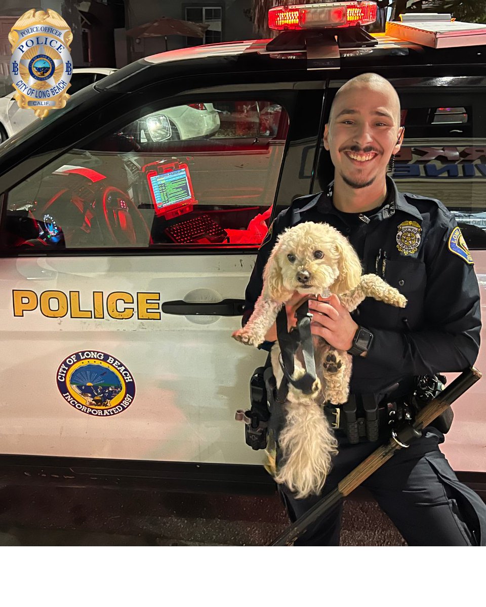 (1/3) Officers reunite stolen poodle and car with victim❗️ Last night, patrol officers noticed several people pushing a car that they quickly determined was a stolen vehicle just taken the previous day, along with the victim’s poodle that was inside the car.