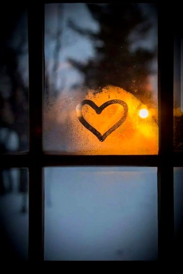 A flower cannot blossom without sunshine, and man cannot live without Love..!
Lovely night ❤️
#GoodNightTwitterWorld 
#lessons