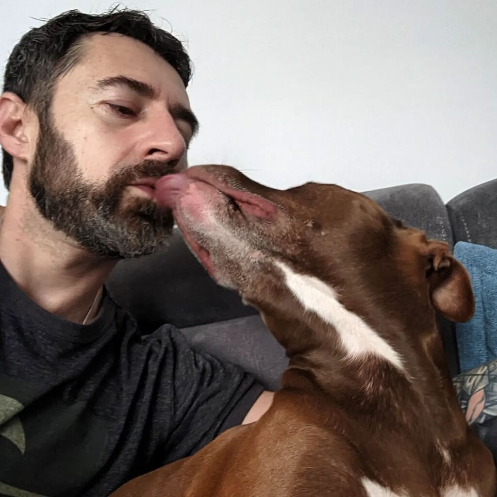 sle3va's tweet photo. Chłopaki nie mogą się całować z języczkiem? A kto tak mówi?
#pitbull #rednose #kiss #polishboy #polishman #pitboy #księciunio https://t.co/cUHW3DNhZS https://t.co/8PGOgYWzrp