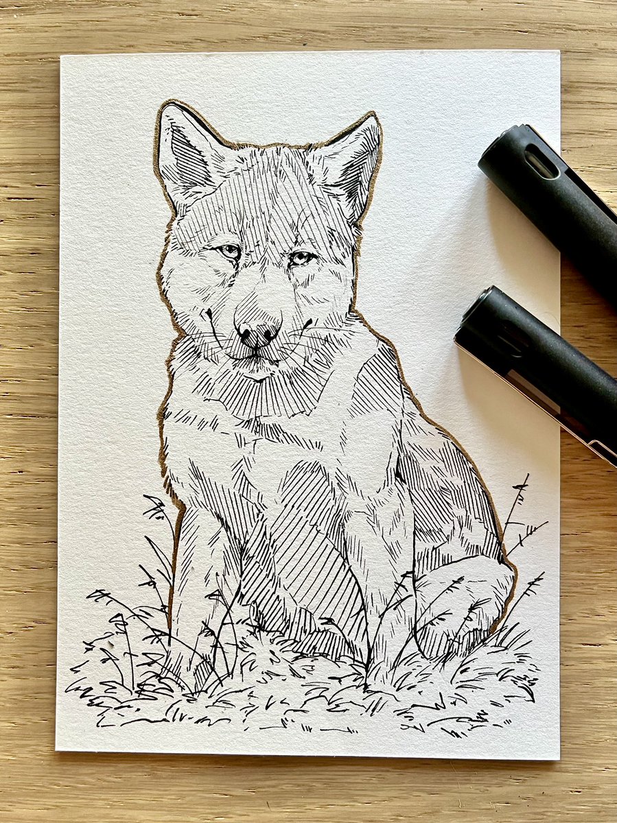 cassydraws's tweet photo. I’m proud of my growth/confidence with ink in the last 3 months. 🖤
October 22’ to January 23’. It has really been a joy lately. https://t.co/cugM8gjBRr