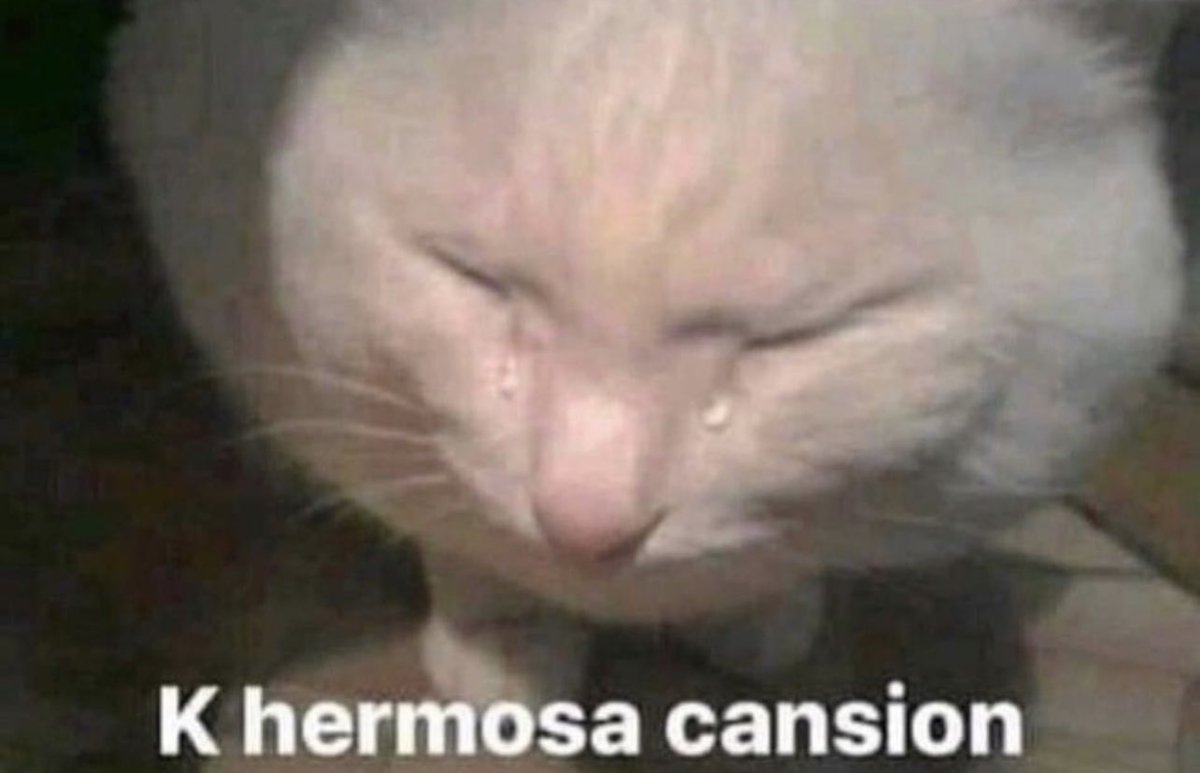 *Una canción que ya escuché por milésima ves en el día*

Yo: