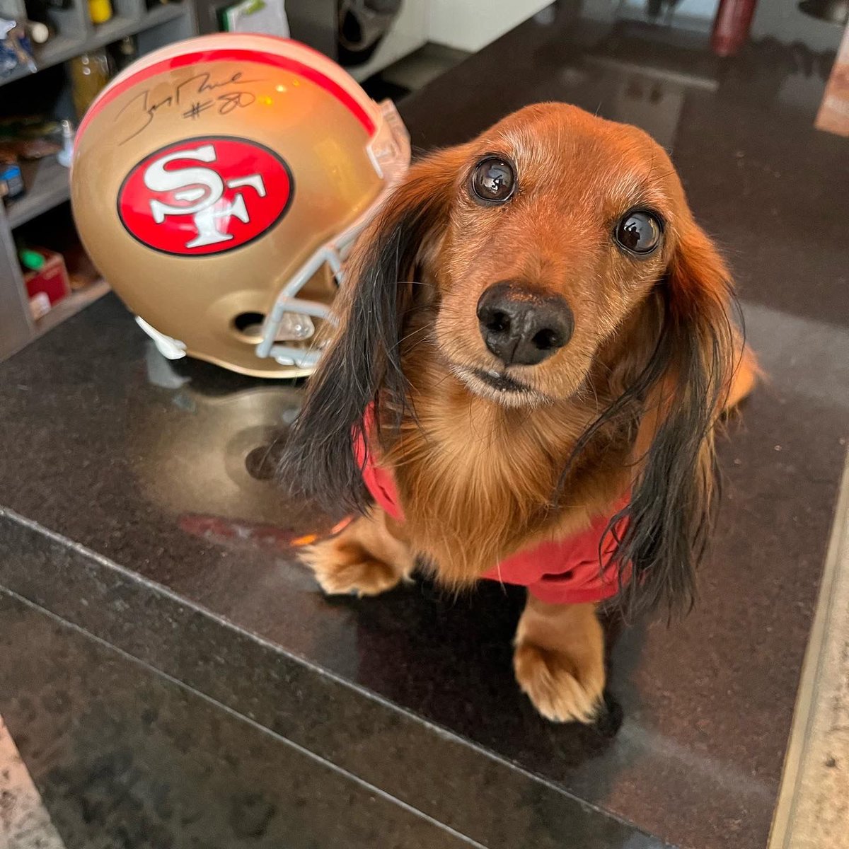 #NFLxFSMX El Nugget apoyando a los <a href="/49ers/">San Francisco 49ers</a>