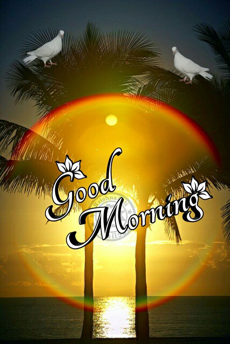 drlalpathlab4's tweet image. 