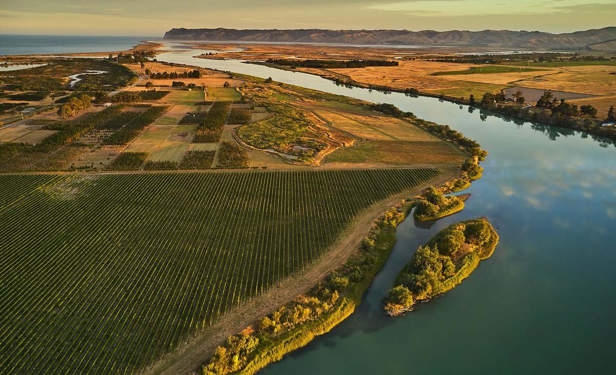 tePaWines's tweet photo. Thrilled to be in a new @TorontoStar article by @WynneLockhart! Covering NZ's diversity of wines, to the unique Māori history &amp; culture of wine brands like us, it's well worth a read (ideally with a glass of #nzwine in hand): https://t.co/GpTAwU5MsL #tepawines #homefor800years https://t.co/mtT0u0QRyb