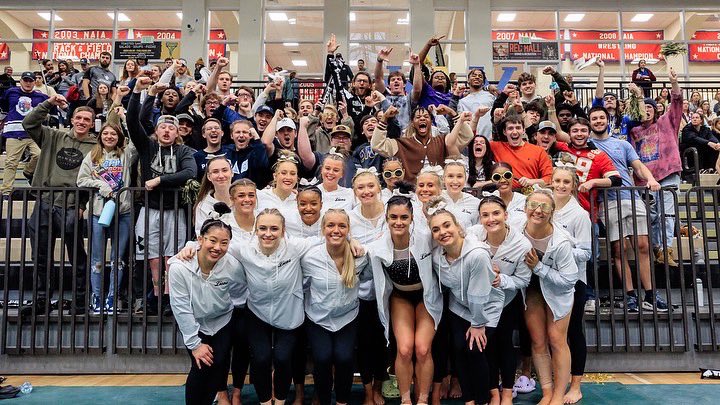 Lindenwood Gymnastics tweet media