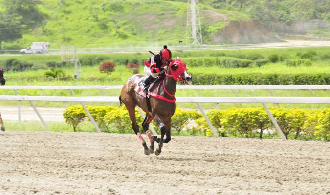 #Hipismo🇻🇪🚧🚨 ÚLTIMA HORA: El látigo José G. Hernández debe rendir declaraciones tras la Apertura de Averiguación Administrativa en relación a GRAN MARITZA KA por inconformidad del entrenador Luis Peraza, trainer que también debe asistir a dicha entrevista.

3ra. Carrera R03/23