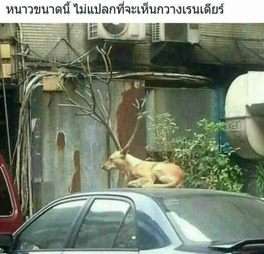 Good morning.........("   •ω•)/🌤️☕️❄️🌿🌈