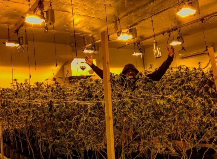 Istoe_1's tweet photo. Welcome to my world of tree's πΏβ
#Calibuds #Thailandweedlegalization #cannabiscomunity #Mmemberville #writeweed #stoners #Cannabisculture #cannabislife #cannabislegalization #weedlovers #weedsmokers #weedgrowers #weednews #Weedlife #weedgroups #weedfamily #cookies #edibles #cbd https://t.co/2lhtAAEDan
