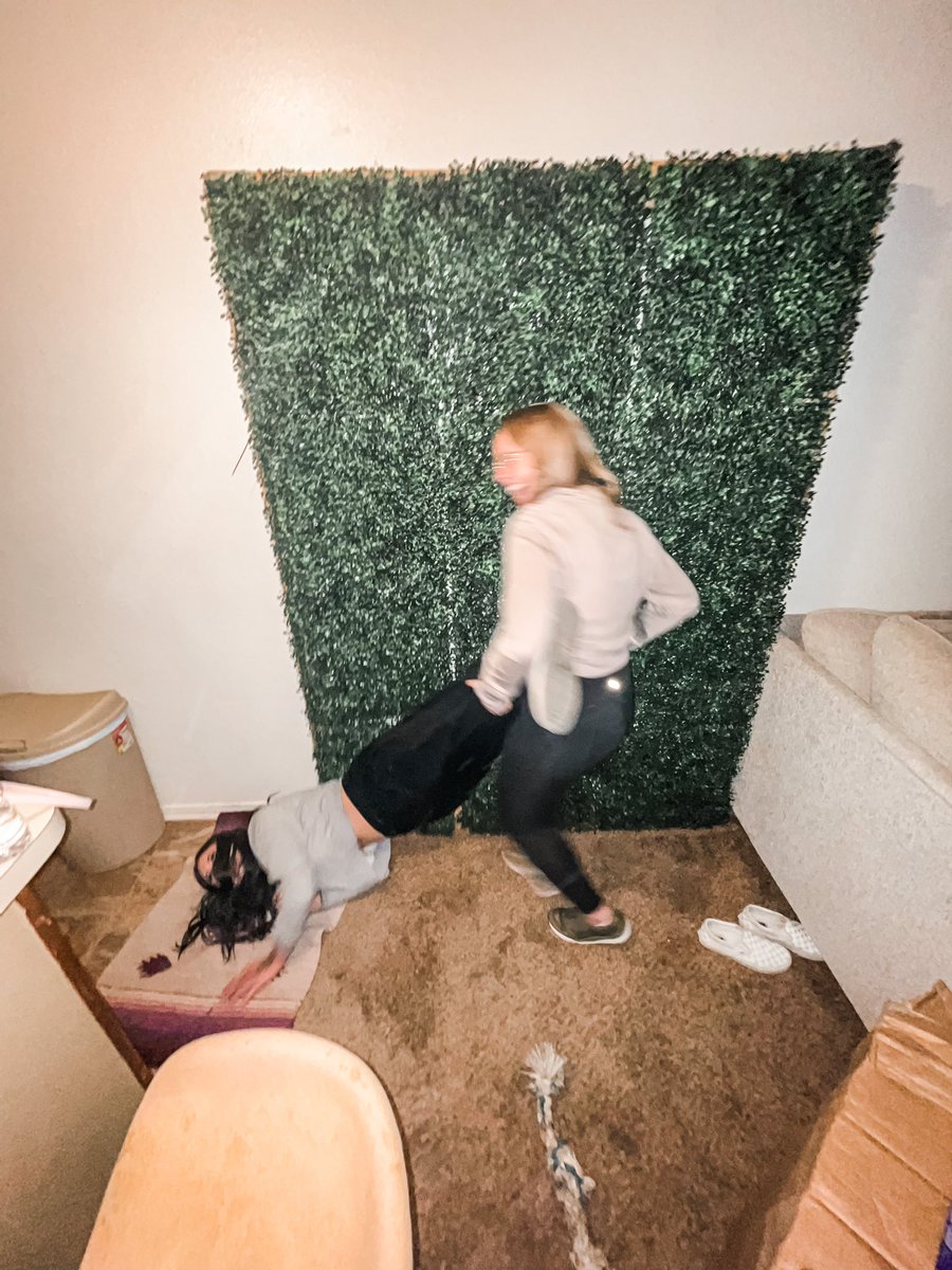 HouseHaylie's tweet photo. A series of events. https://t.co/sVXPB8stbW