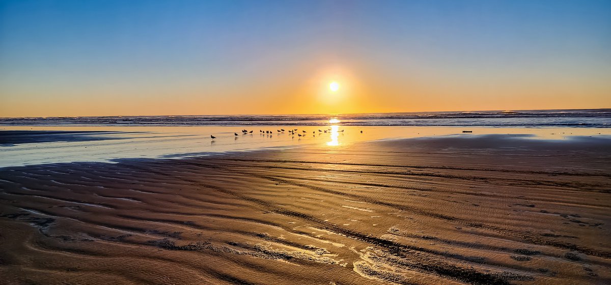 #beachlife #beachvibes #sunset #sunsetatthebeach #sunsetphotography