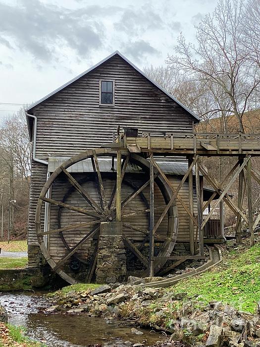 DwightC62's tweet photo. New artwork for sale! - "Bush mill" - https://t.co/TWUXn5oS9j @fineartamerica https://t.co/0kZBT58F9l