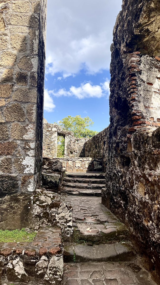 thatiana pretelt tweet media