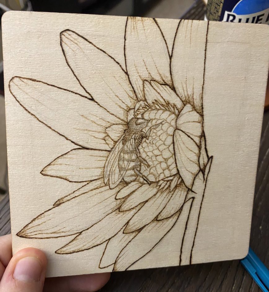 Some recent pyrography 🪵 🔥 #pryography #illustration #woodburning
