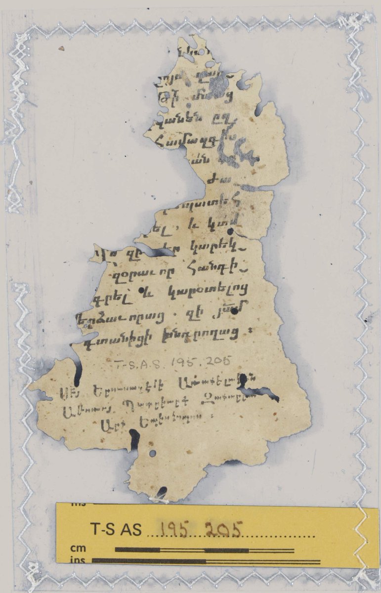 Princeton Geniza Lab tweet media