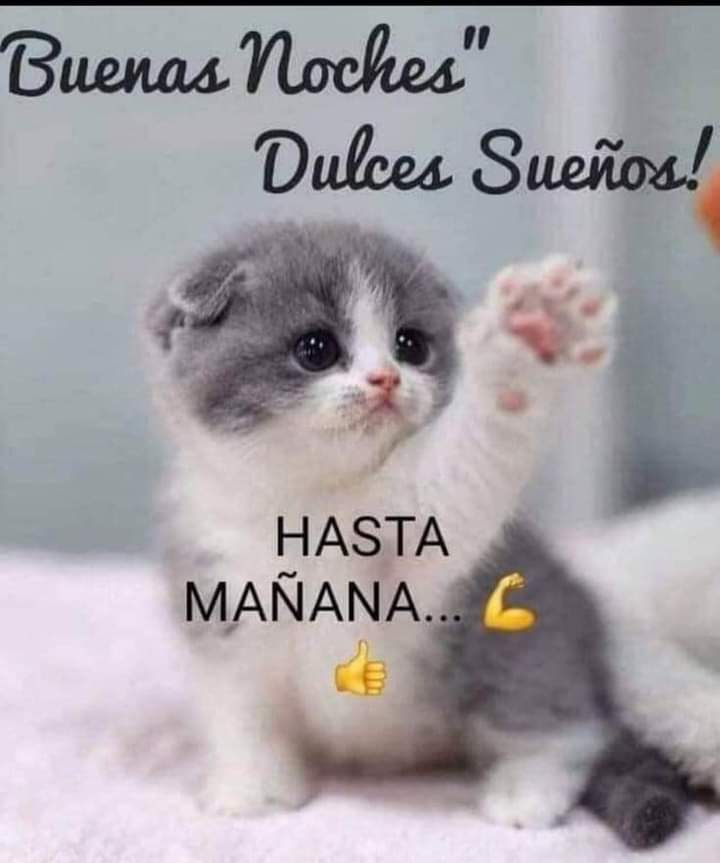 Buenas noches dulces sueños