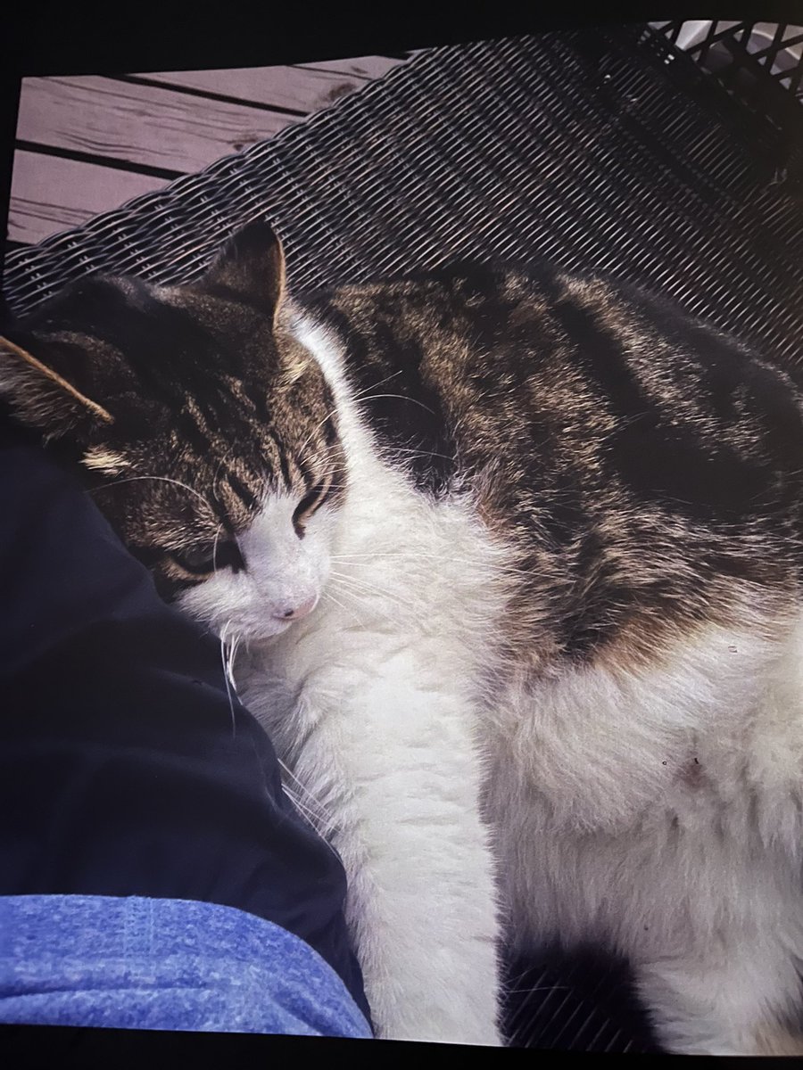 Tradeboi Carti tweet media