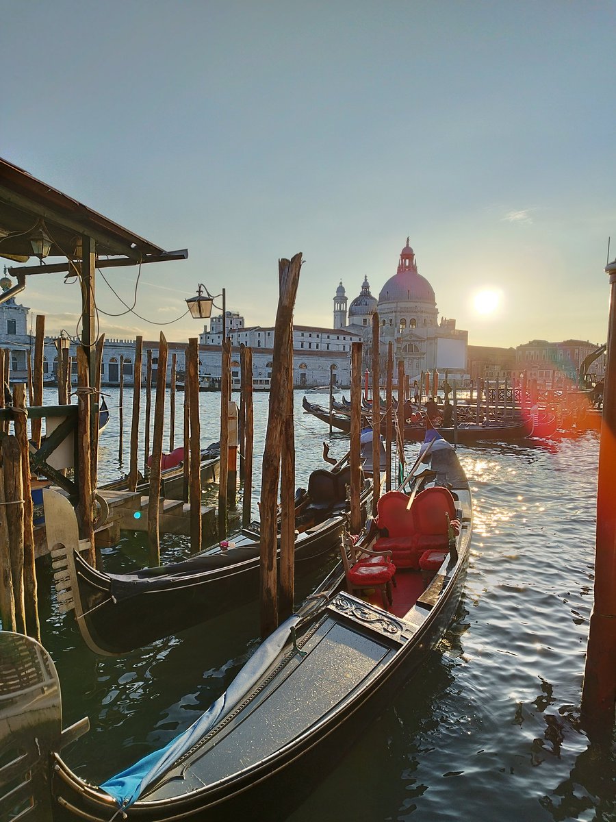 ines_morin's tweet photo. Venezia ✨ https://t.co/OoA0tvFQU1