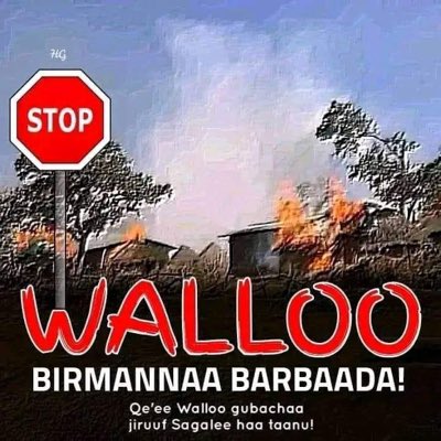amenti_megersa's tweet photo. #NewProfilePic https://t.co/rgDWeoqSYh