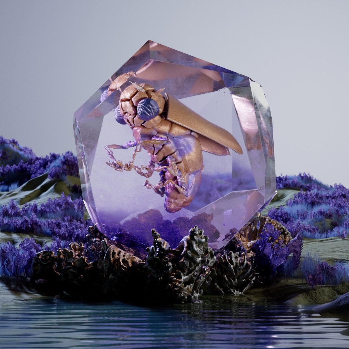 THE RABBITS GIVEAWAYS tweet media