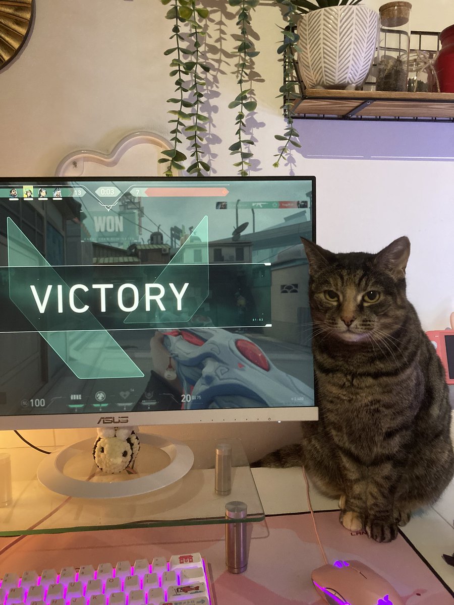 charley______'s tweet photo. gamer girl https://t.co/kAQ3wMbmZf