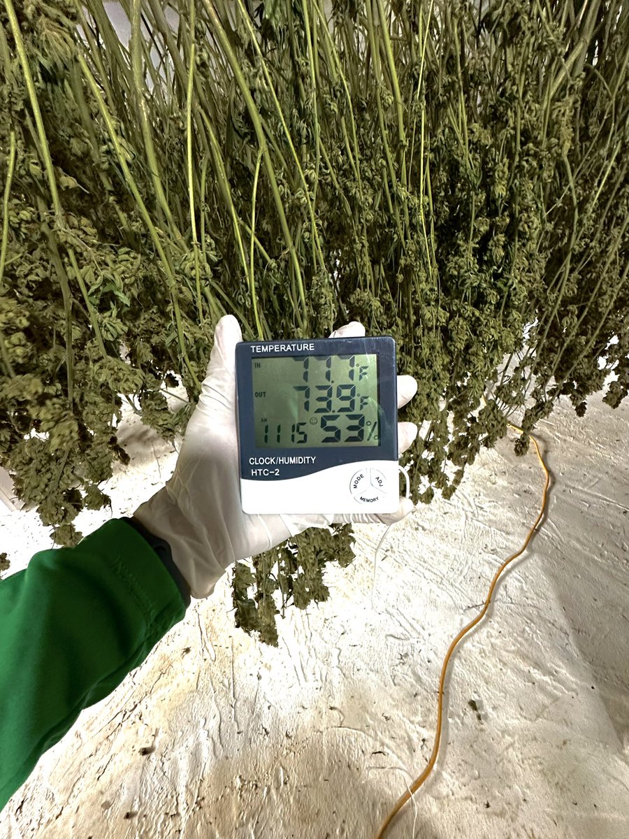 greenleafcol tweet picture