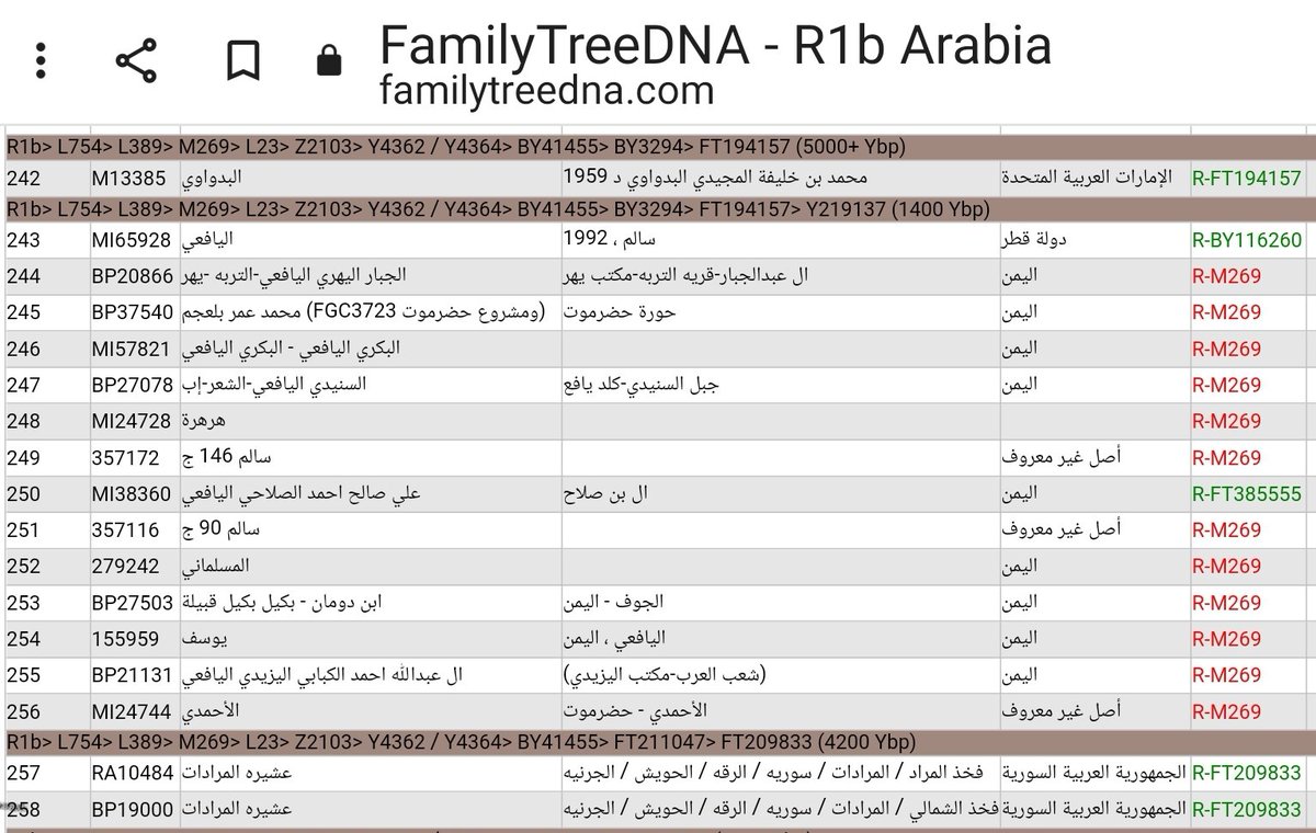 احفاد سبأ ان كنا الجذر ام الحلف فلنا الفخر بانتماءنا