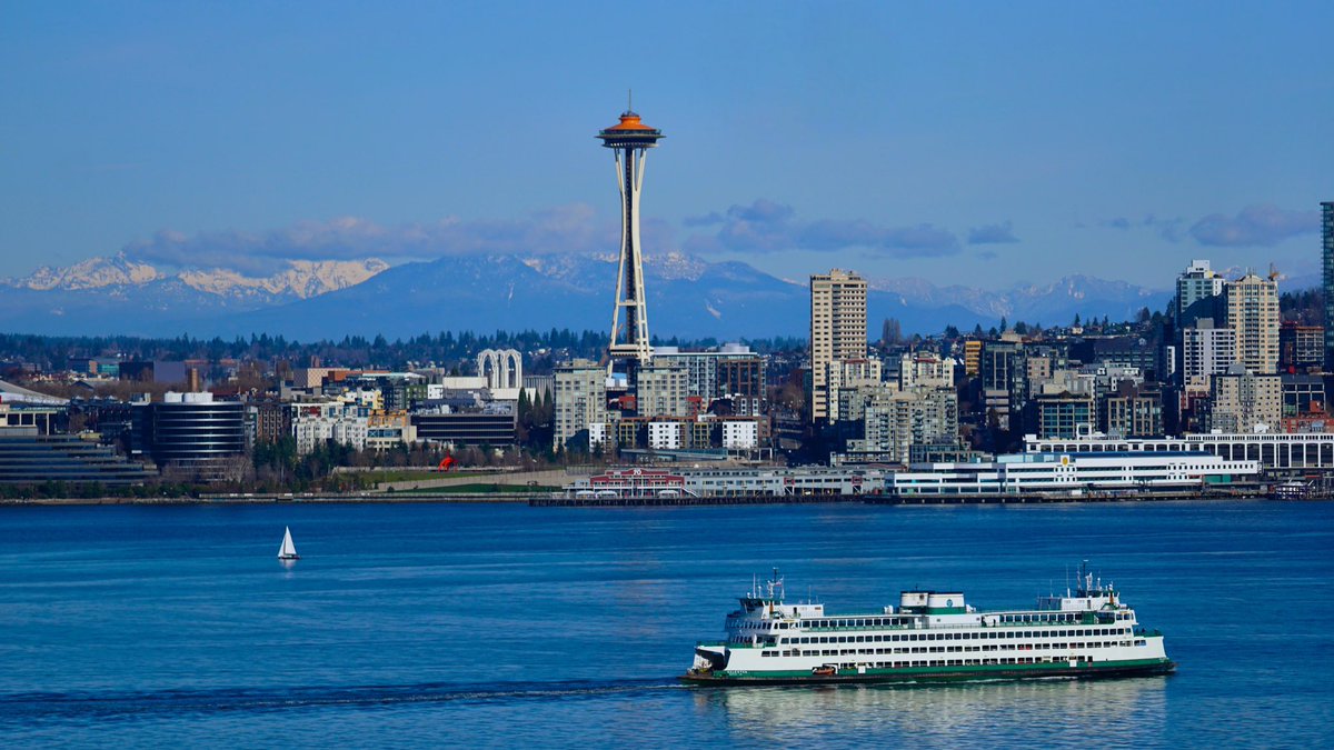 mjtwit's tweet image. Soaking up the blue skies in Seattle 
#ThePhotoHour #seattle #westseattle