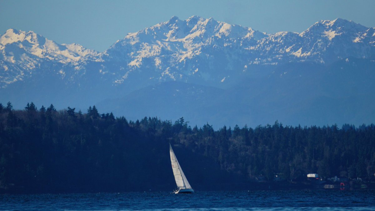 mjtwit's tweet image. Soaking up the blue skies in Seattle 
#ThePhotoHour #seattle #westseattle