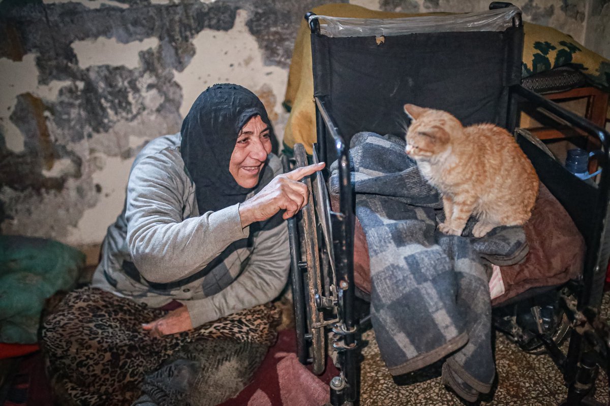FARED_ALHOR's tweet photo. In a wheelchair, a Syrian mother takes care of her disabled son and her 10 cats.

The Syrian mother, Ibtisam, 61 years old, in her wheelchair, bears the burdens of caring for her disabled son and her ten cats in Idlib Governorate, Syria. https://t.co/YXd7OYcwND