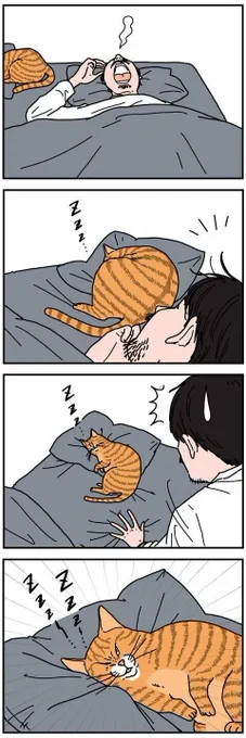 ビックリするような顔で寝ていることもある【男の猫道】ねこのきもちWEB MAGAZINE限定話 vol.171|ねこのきもちWEB MAGAZINE https://t.co/AkqR5r4TOJ 