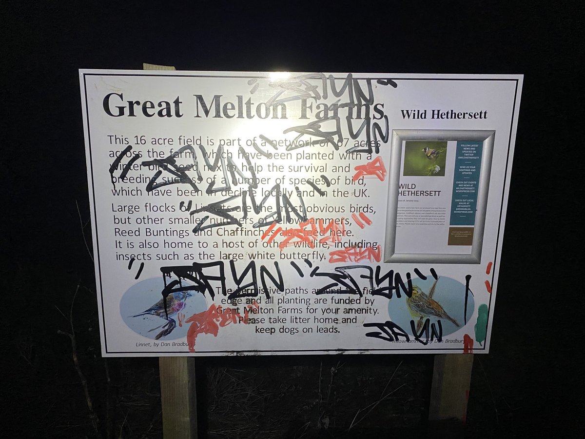 WildHethersett tweet media