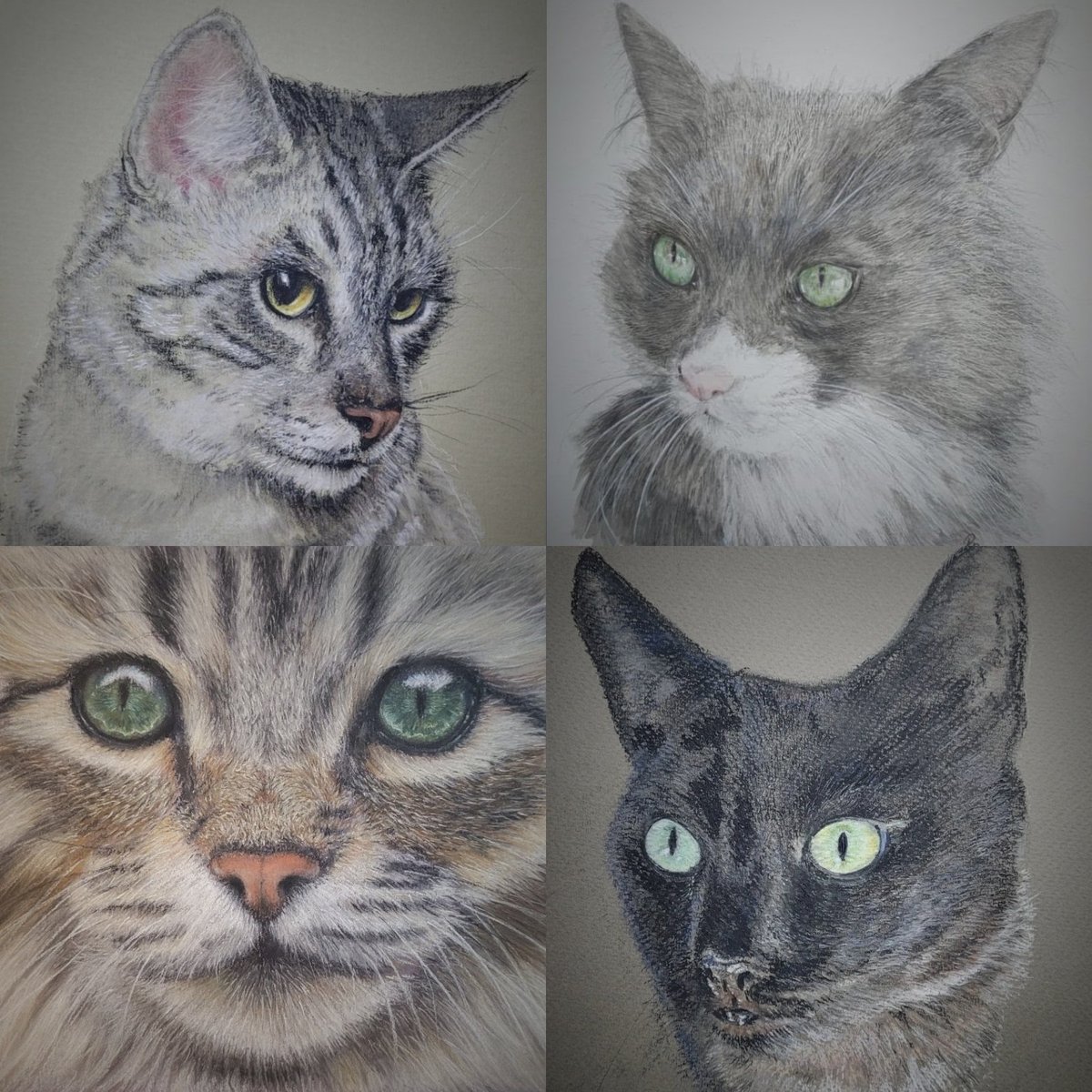 mee_mees's tweet image. #giftideas #takingcommissions #petportrait #cats #artists #MothersDay