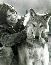 magickbox's tweet photo. @Momof4Cats4 When I think of single season shows, these two come to mind. https://t.co/uQl2UKcIzq