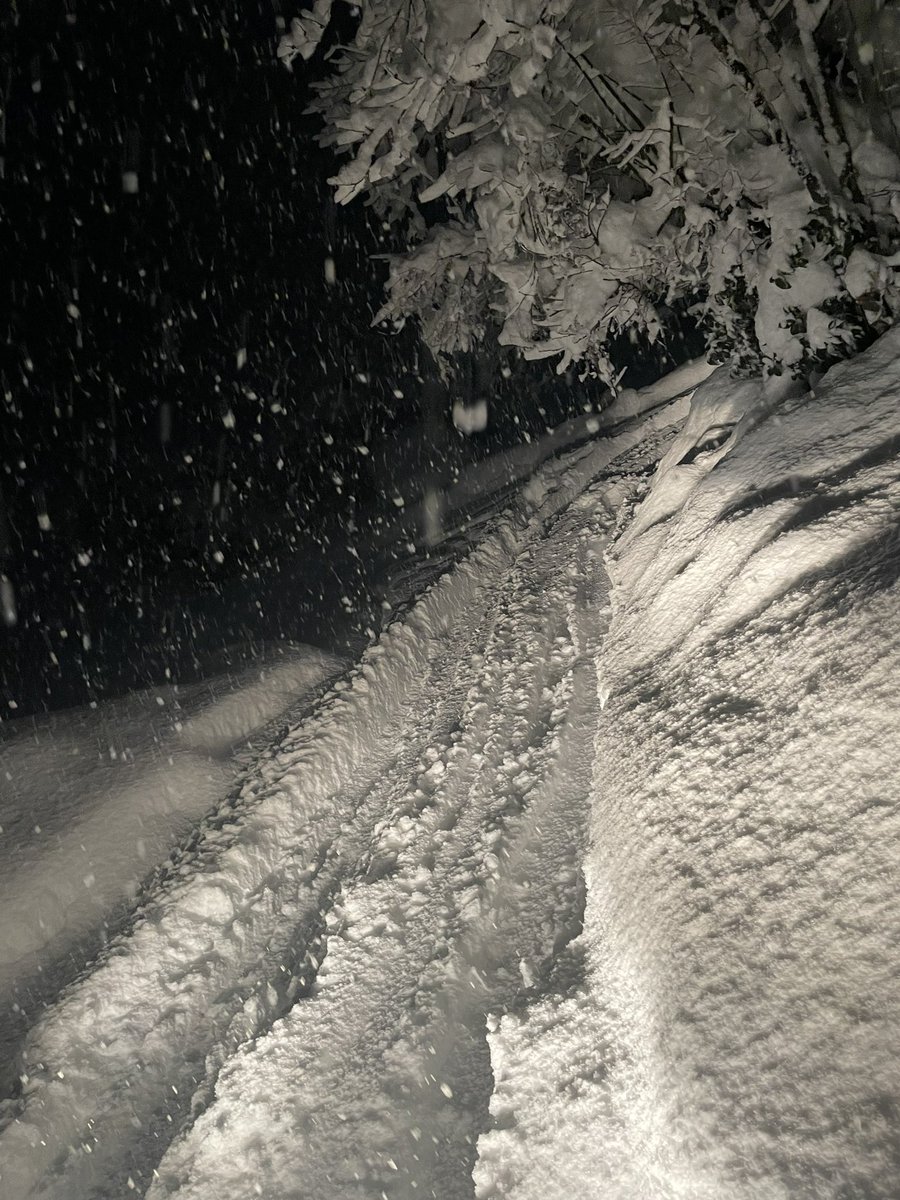 あすとら？ tweet media