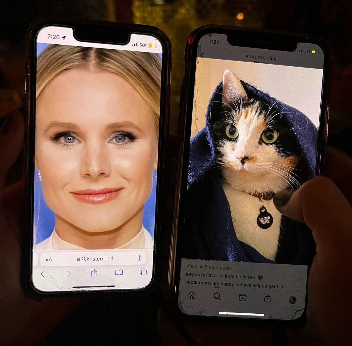 2DrinksAway's tweet photo. @mayawiley My daughter is always irritated with me because I think her cat looks like Kristen Bell. @MadelynStarr https://t.co/lNW2WAxoAW