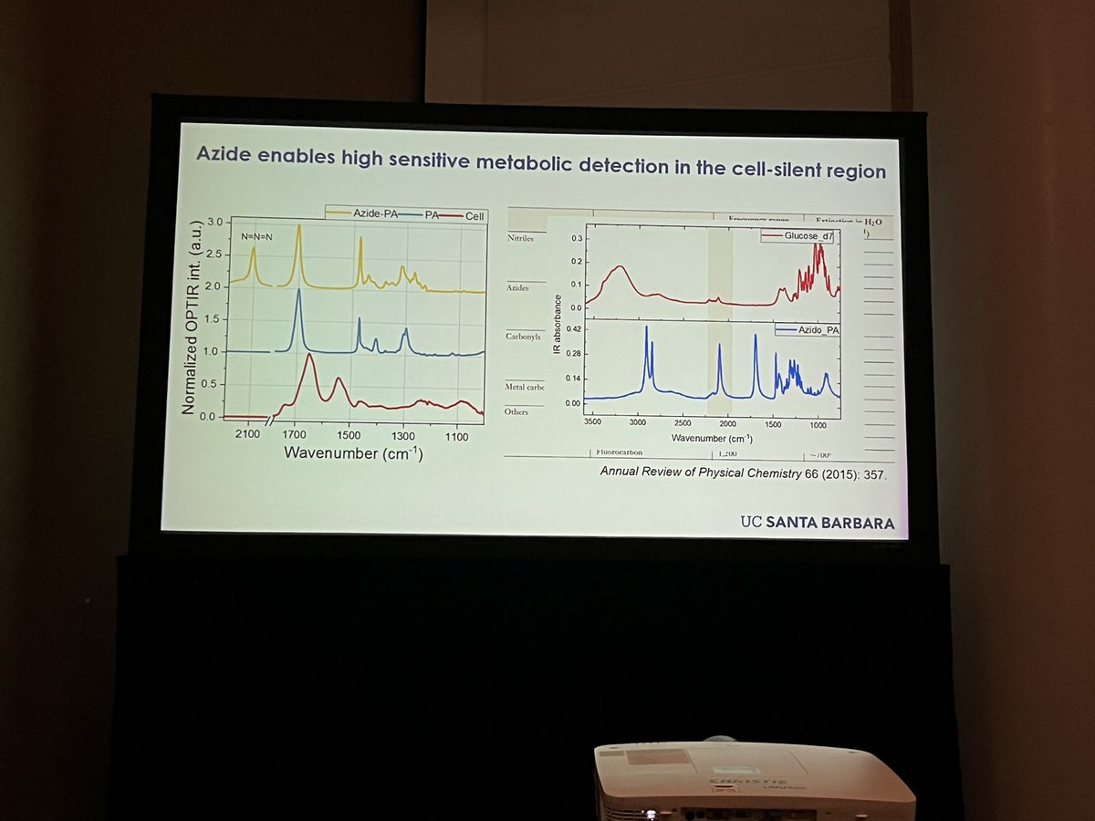 mkansiz5's tweet photo. Another great talk by Yeran Bai on the use of O-PTIR to monitor specific lipid uptake by the use of IR tags (azides) in human organoids
#optir #organoids https://t.co/4vUZYCo6Kl