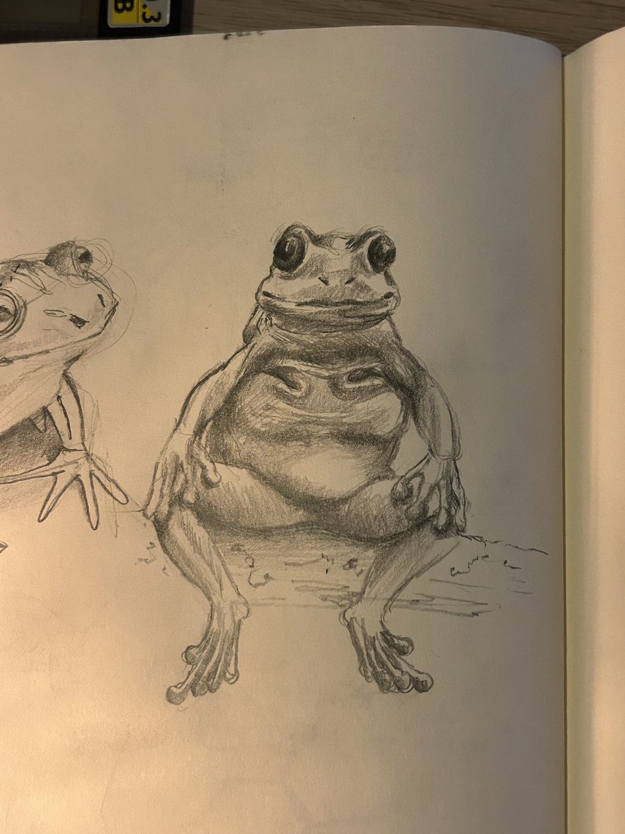 önemli bi konuşma yapacakmış gibi oturan kurbağa çizdim