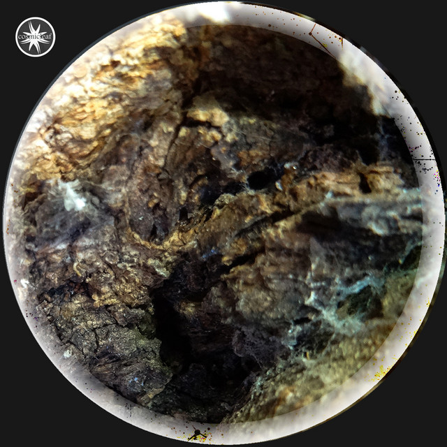 davedelbridge's tweet photo. My debut dark ambient single, "Heat Death," is now spinning on the EXPerimentaLIST playlist!  Super-thanks, @cosmicleaflabel, for the double-love.  It is very much appreciated.  Listen now at https://t.co/jZ3nFDldTi.

#darkambient #drone #ambient #experimental #spotify #playlist https://t.co/Li2kjw1jOh
