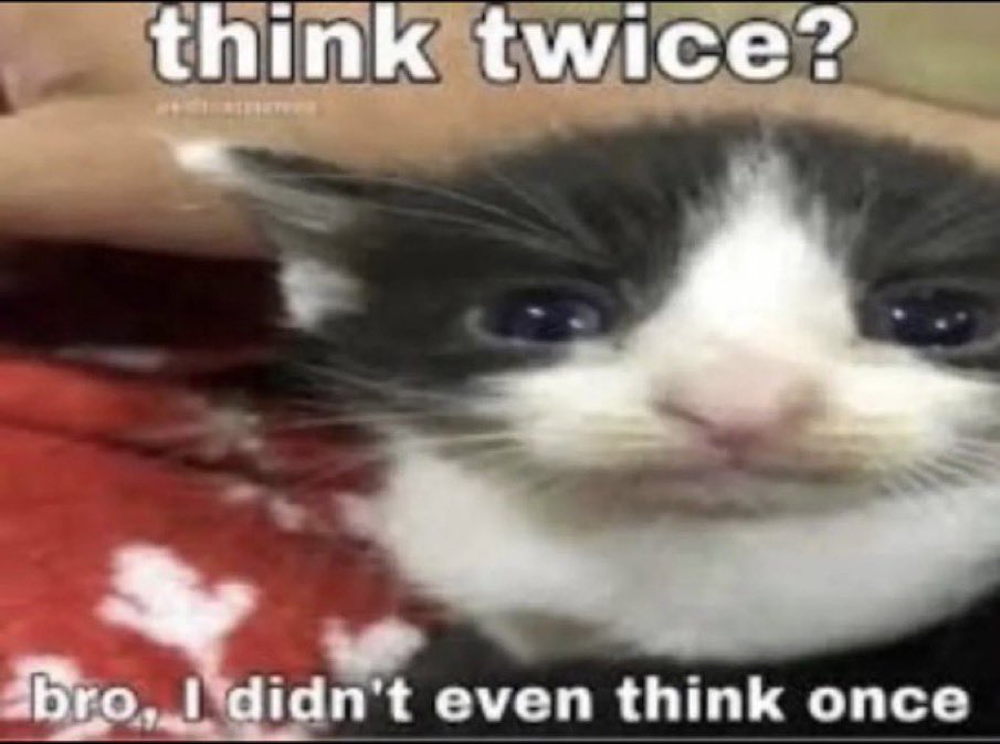 literallymecats's tweet photo. https://t.co/mEF4okZ7Ll
