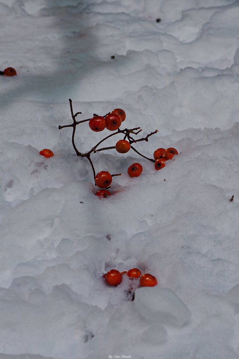 Amix-Soundworks 暫く不定期投稿になります🙇‍♀️ tweet media