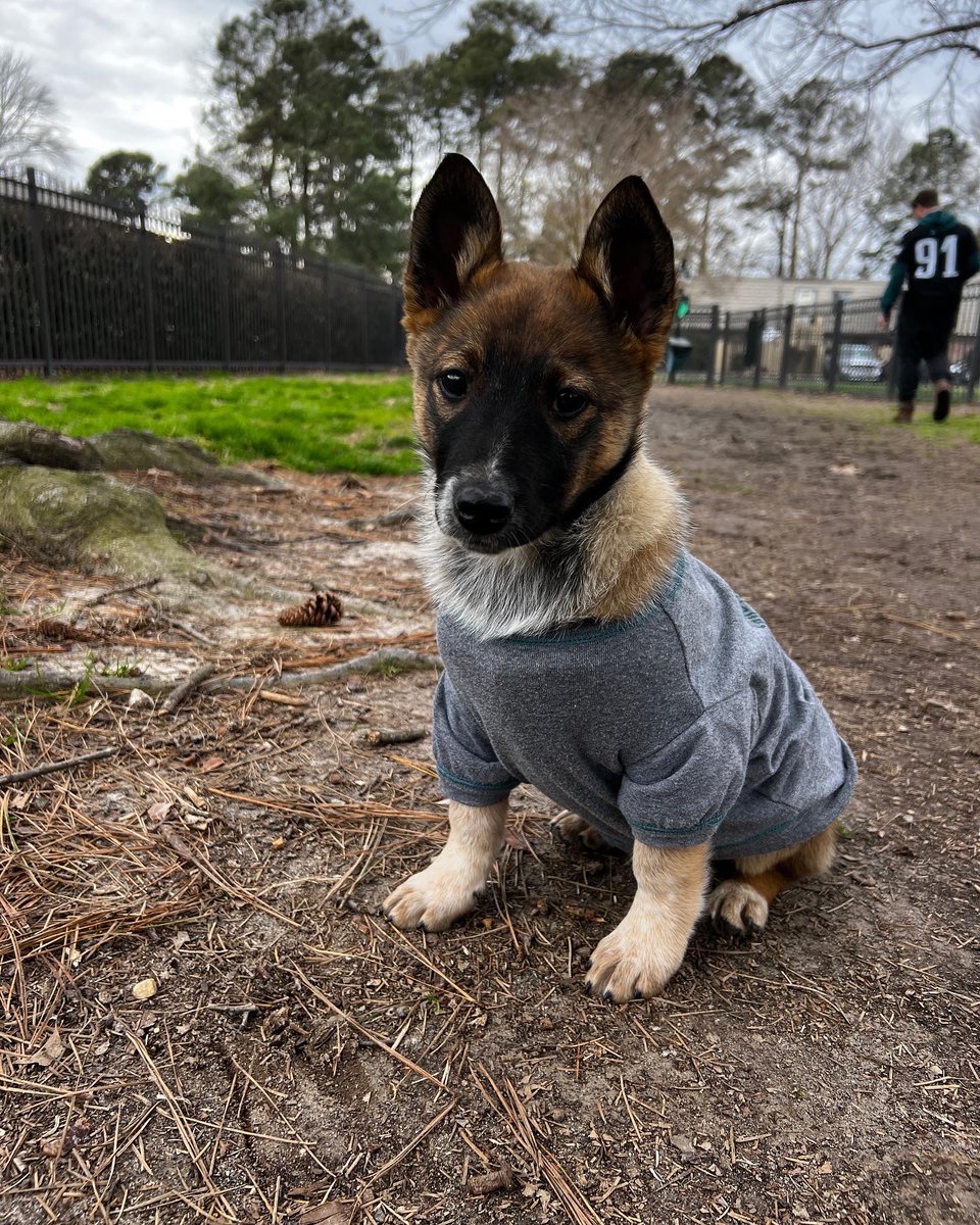 Emily Zurek tweet media