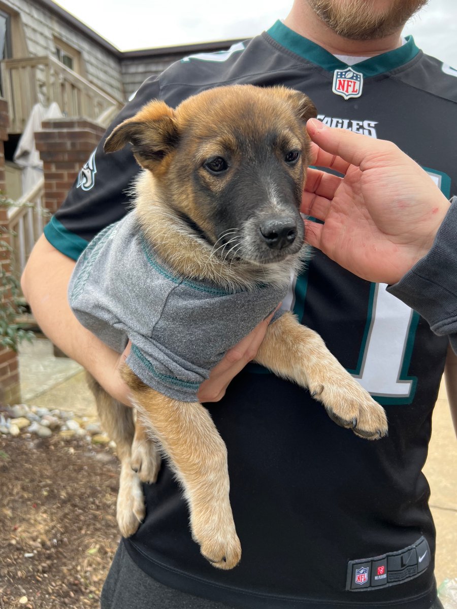 Emily Zurek tweet media